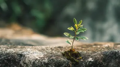 Developing a Growth Mindset for Emotional Resilience