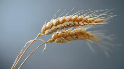 Reintroducing Gluten After Elimination: What You Should Know