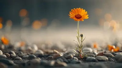 Responding to Setbacks: Cultivating Optimism Through Difficult Times
