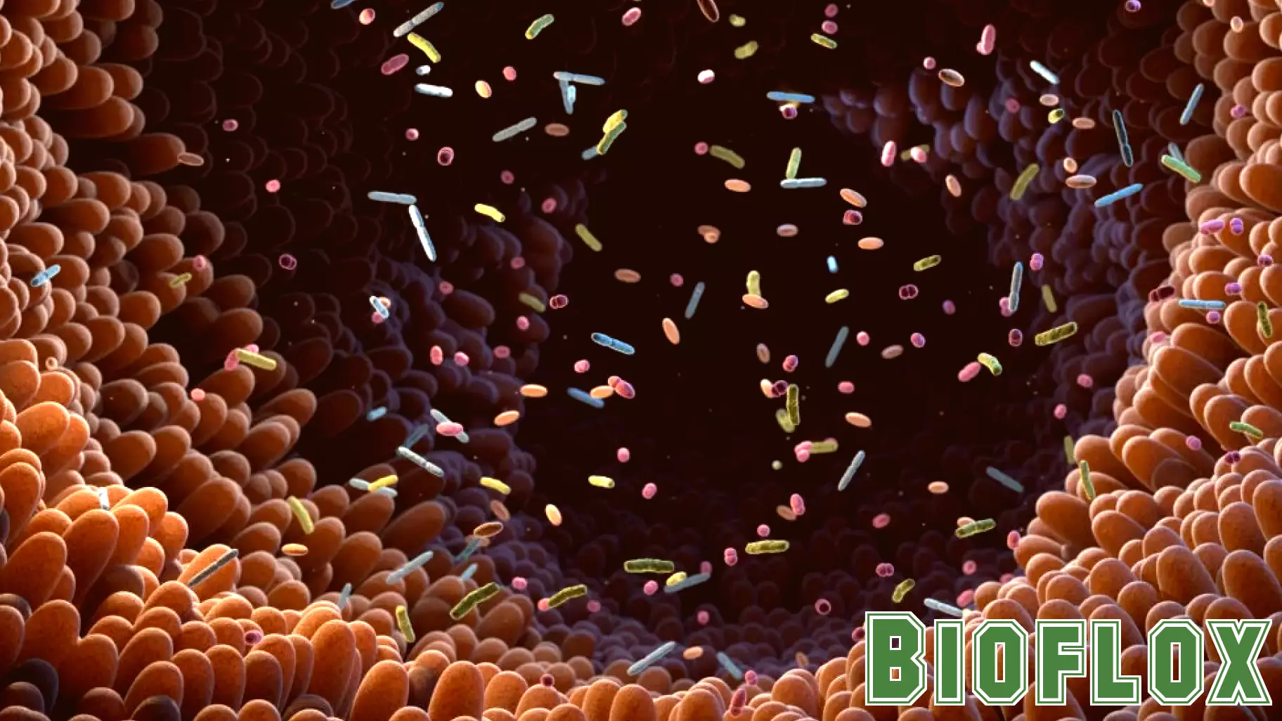 Colorectal cancer risk linked to gut microbiome alterations | Harvard T.H. Chan School of Public Health