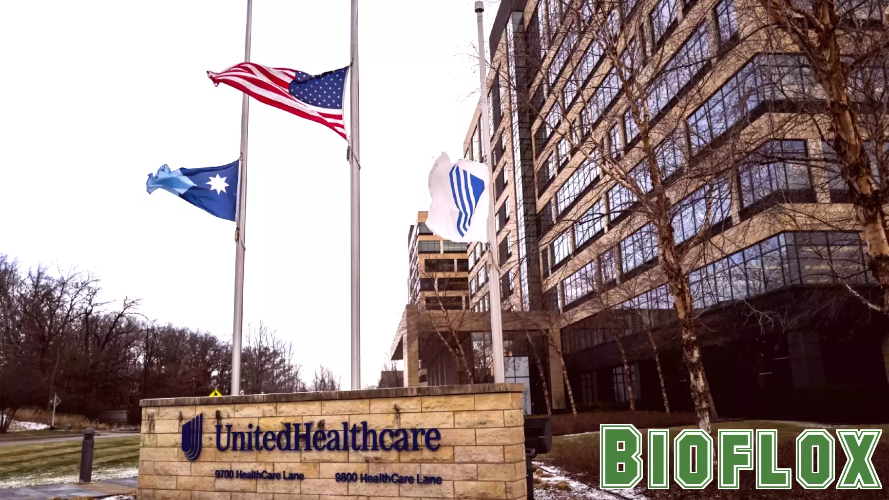 Crisis Deepens in U.S. Health Care One Year After CEO's Tragic Death