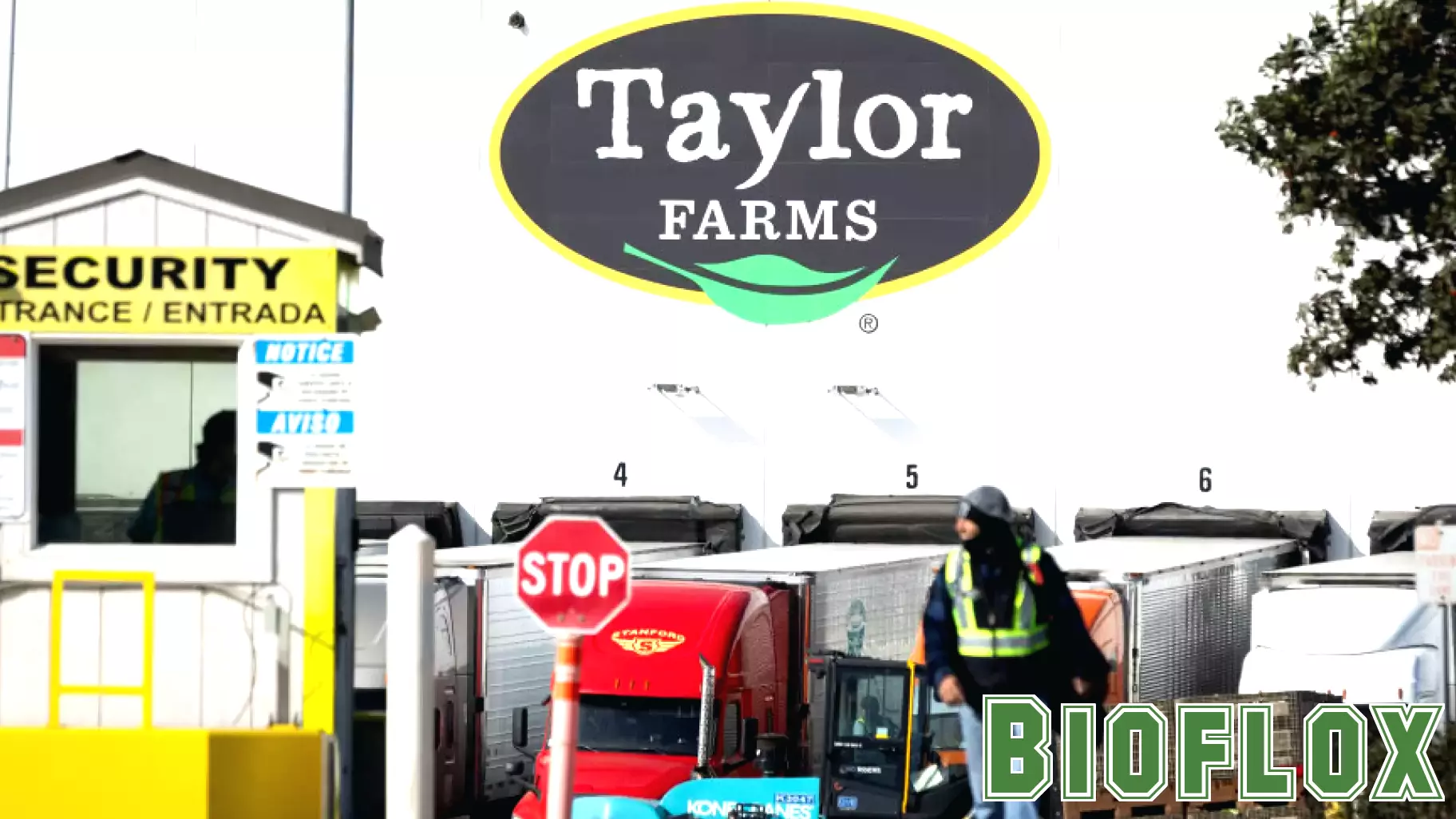 FDA says it’s still investigating Taylor Farms in cyclosporiasis outbreak