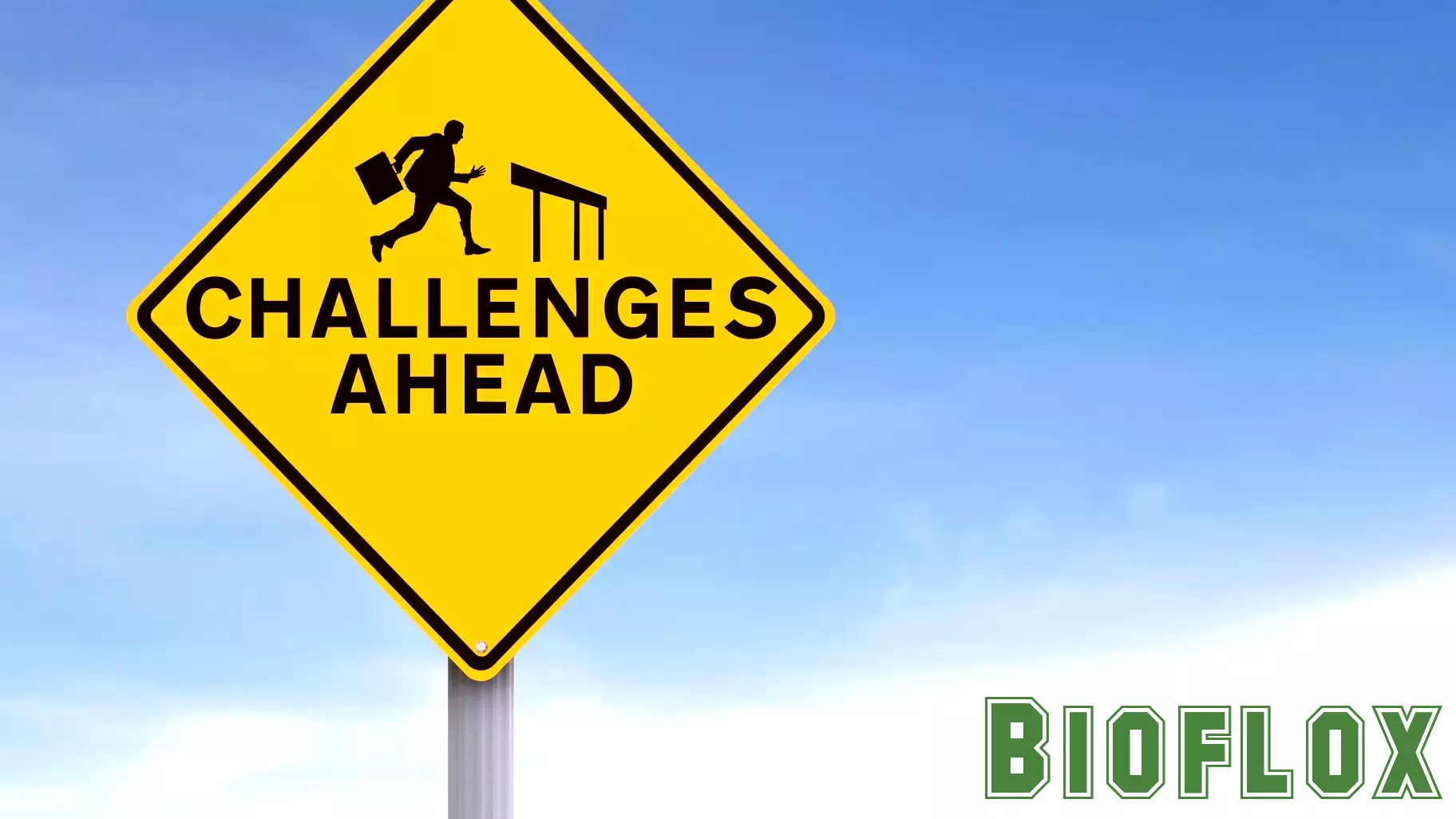 Increasing Challenges in College Mental Health