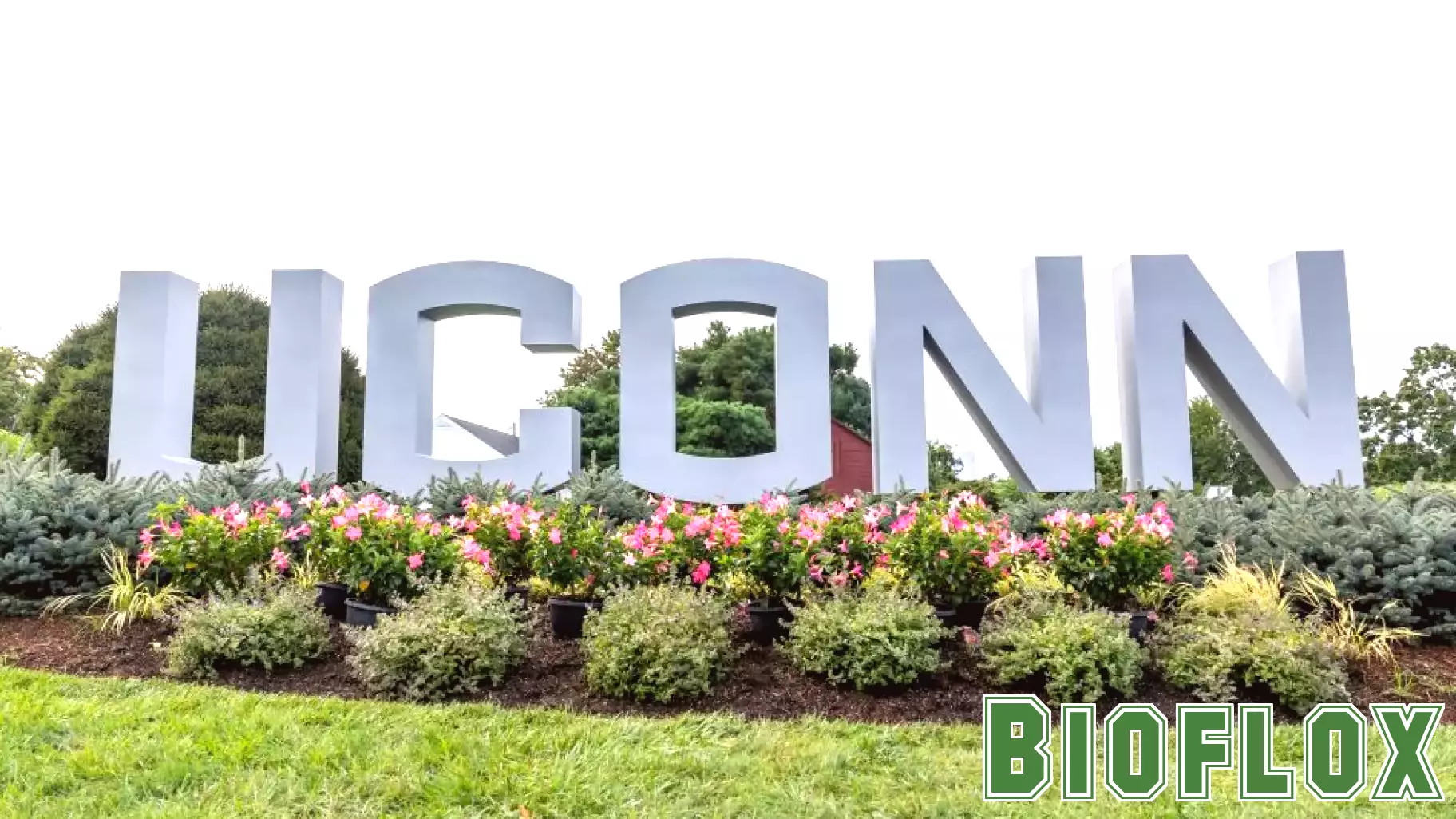 Long Covid vs UConn’s GA health insurance