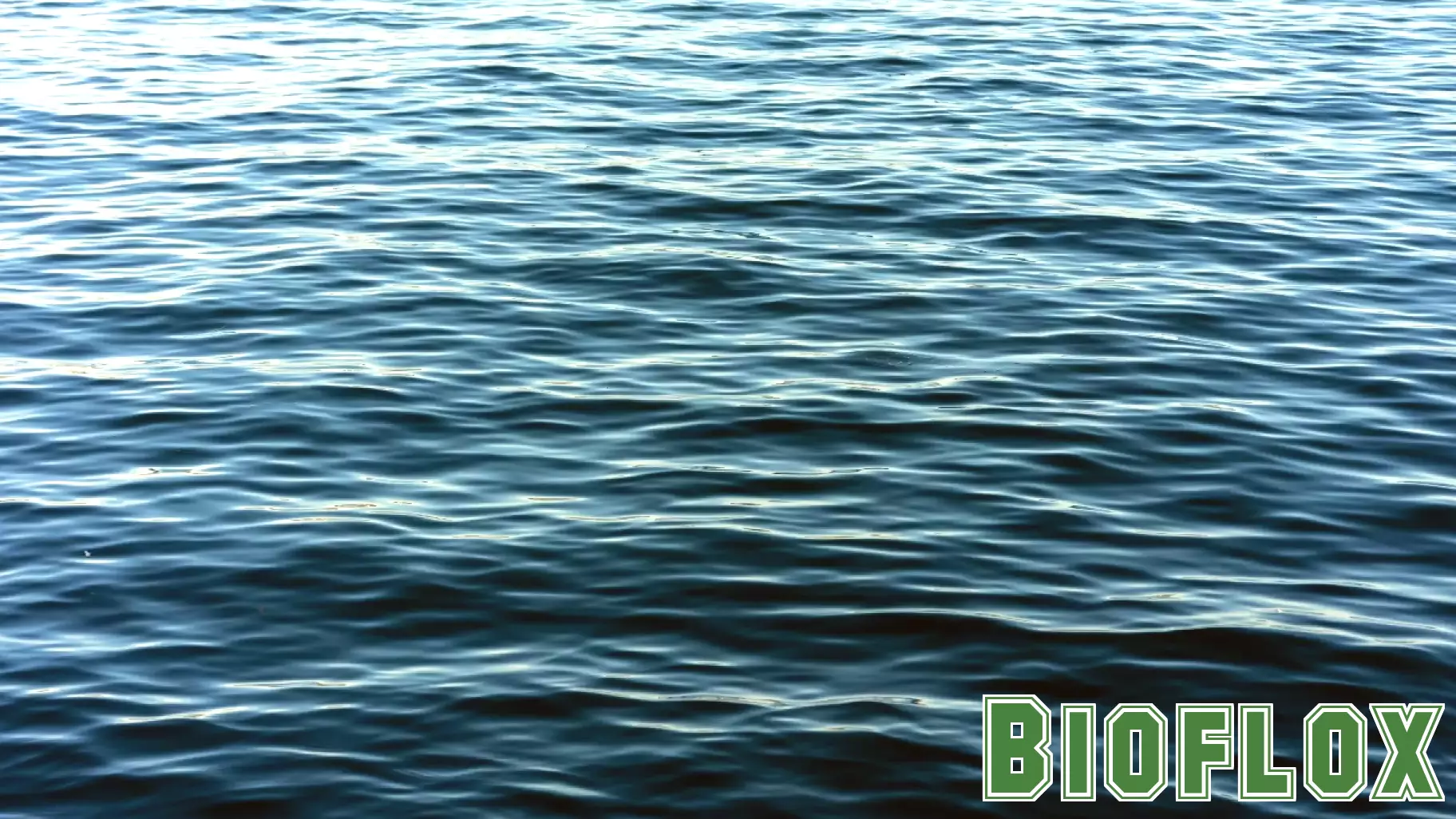 Ohio Town Receives Funding to Tackle Salt Pollution in Waterways
