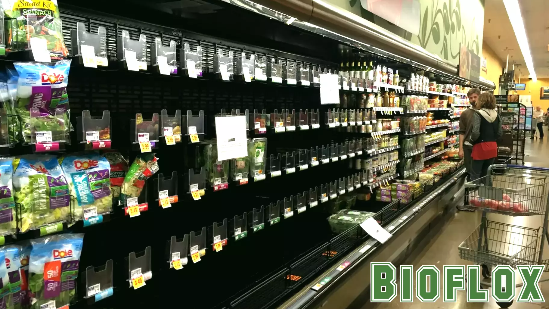 Progress Made in Addressing Rodent Infestation at Local Grocery Store