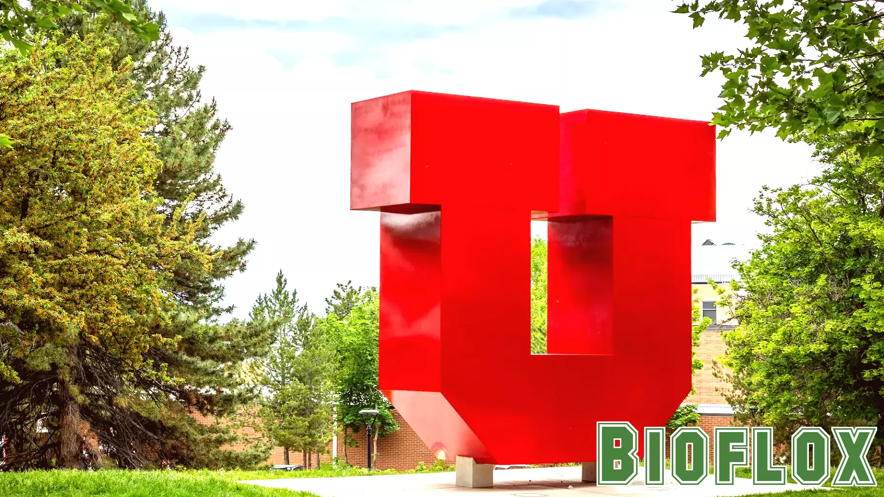 Supporting students before, during, and after mental health crisis