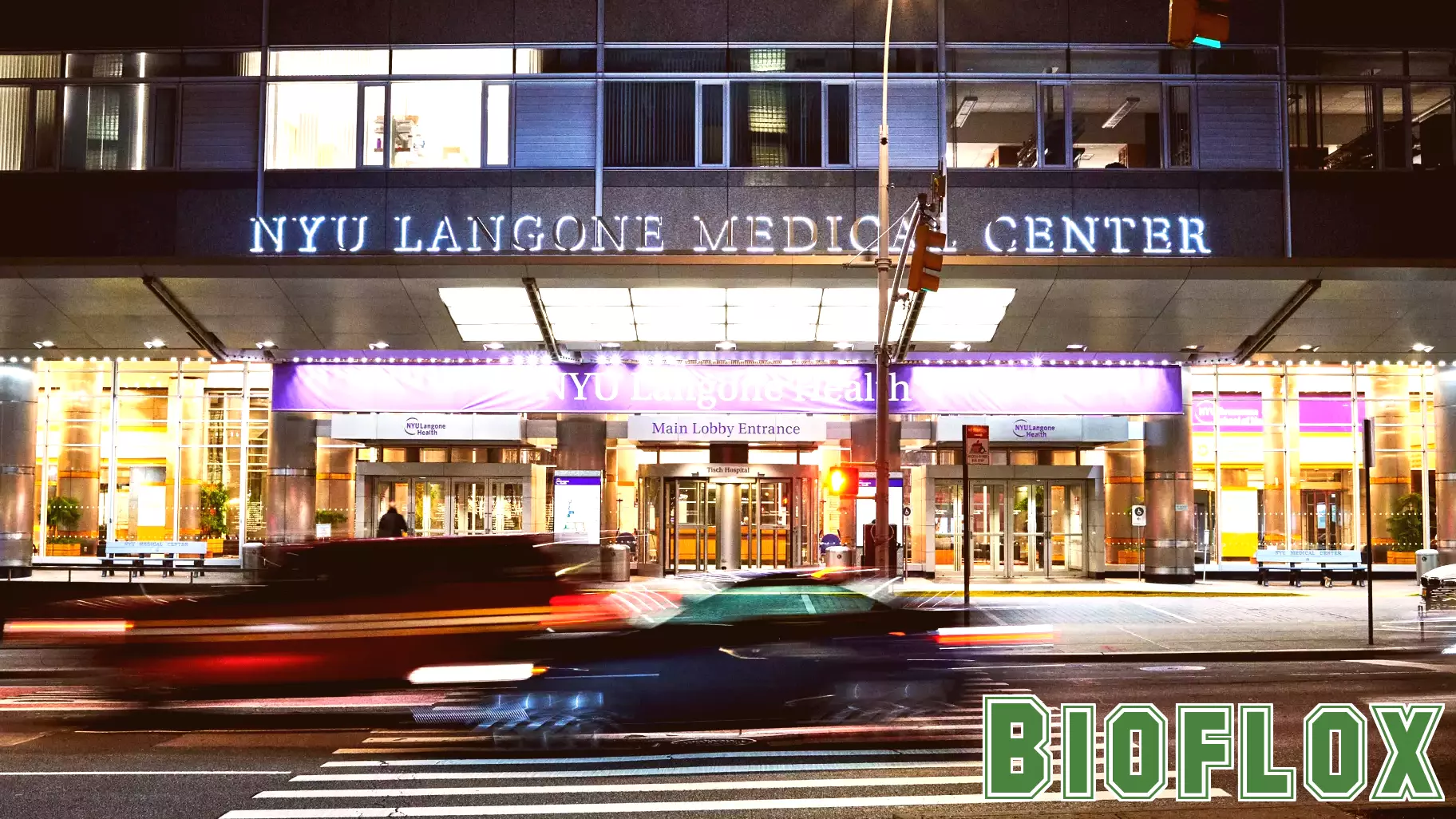 Their Transgender Child’s Health Care Had Ended. What Now?