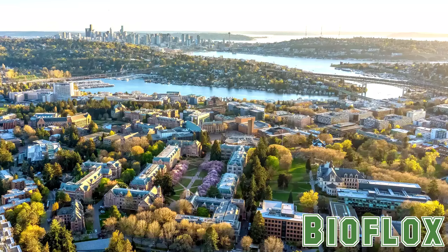 Tree Canopy Goals Could Prevent Thousands of Premature Deaths Across US Cities