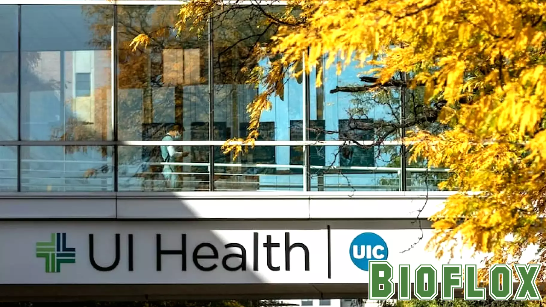 UI Health union says university using courts to stall bargaining