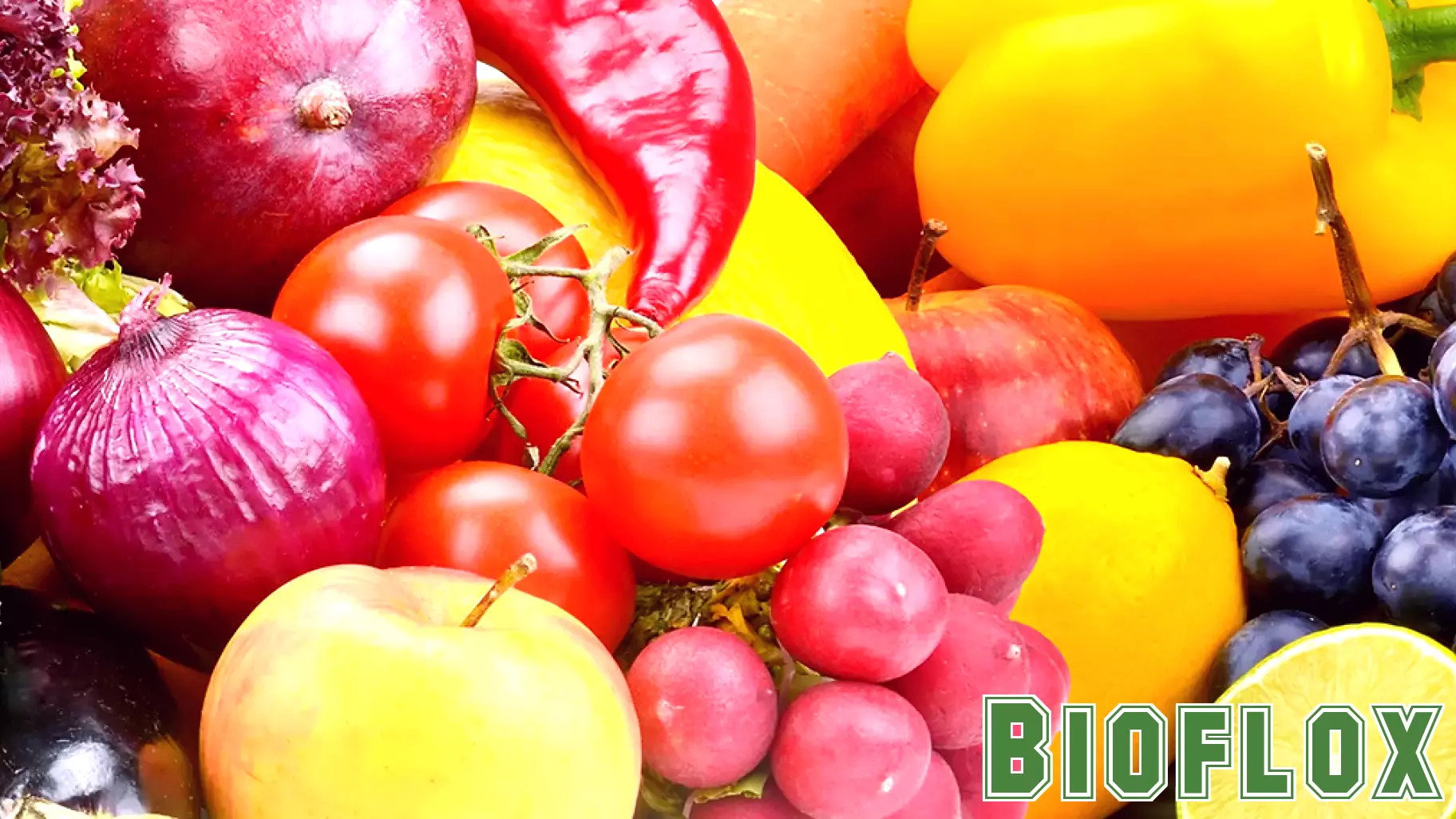 Understanding the New Food Pyramid: 10 Tips to Healthier Eating - NYC Health + Hospitals