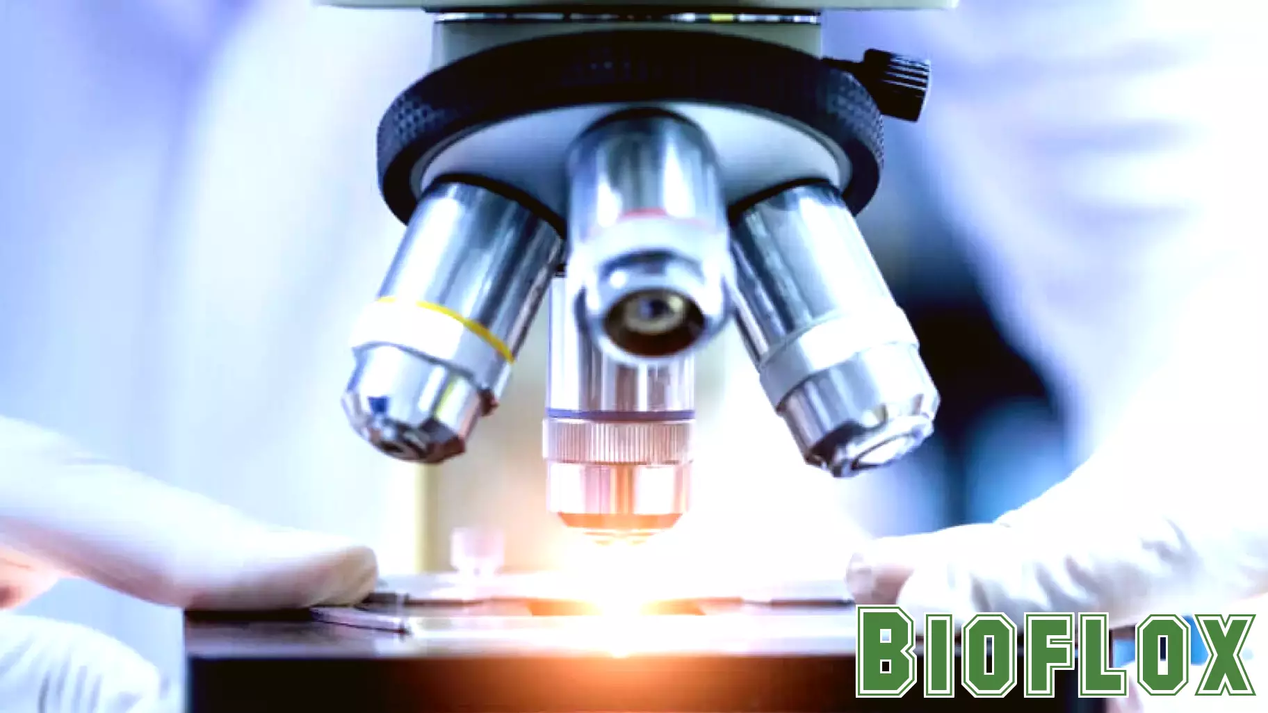 UT Health San Antonio identifies the first potential probiotic treatment for lupus