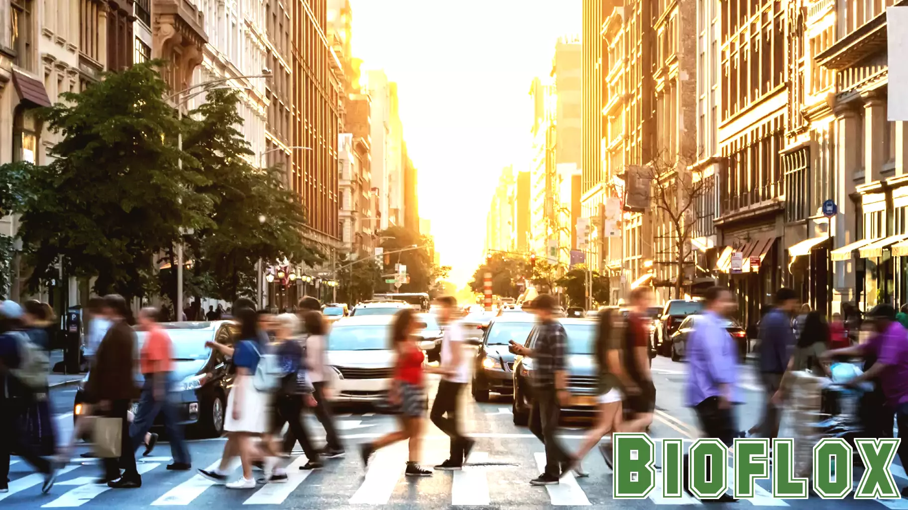 Walkable Neighborhoods Can Boost Physical Activity, Population Health