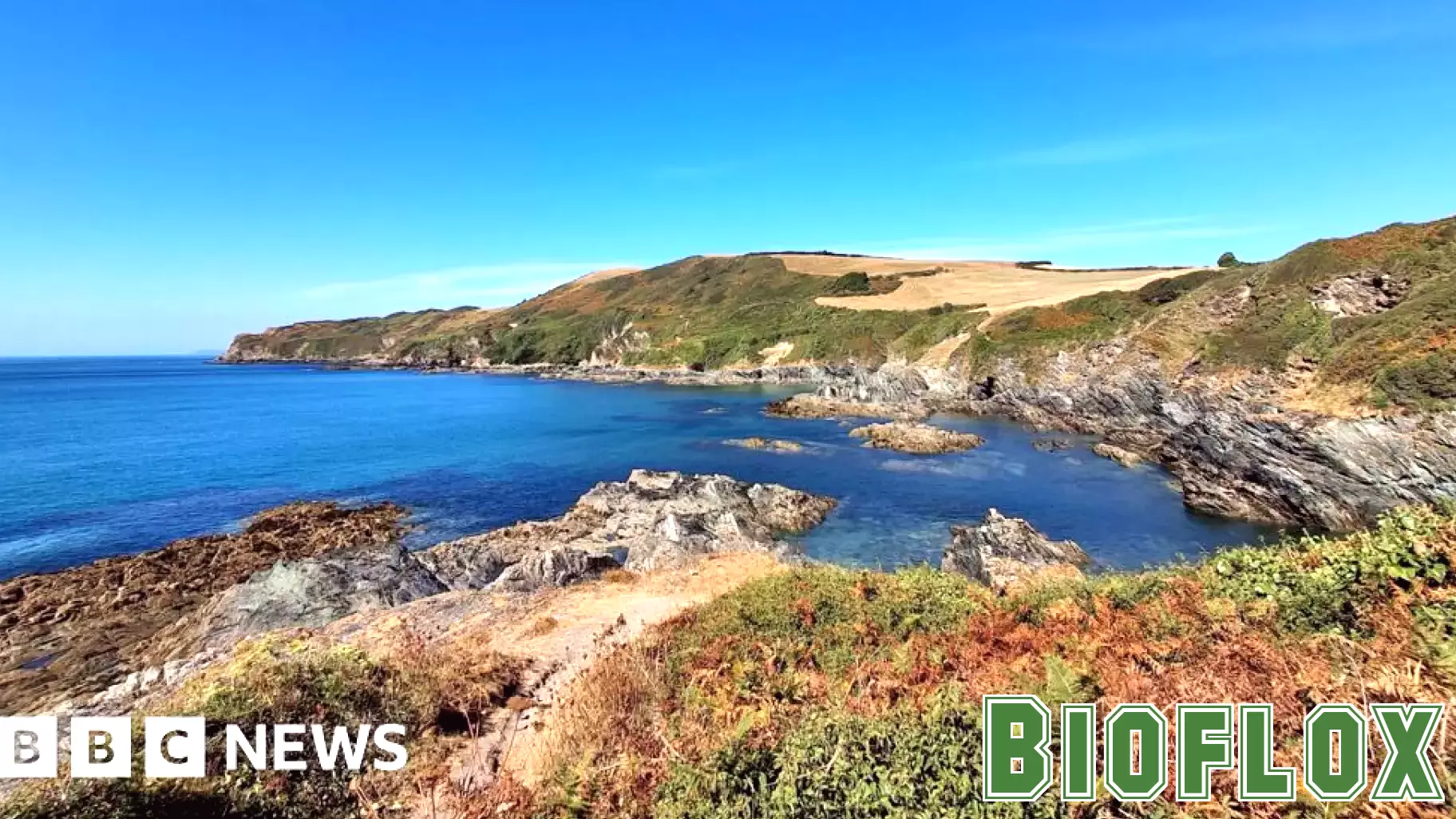Yellow heat health warning issued for South West