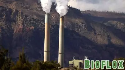 As Trump throws lifeline to coal plants, critics warn of higher costs and health risks