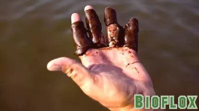BP's Kaskida Project: A Potential Repeat of Deepwater Horizon's Impact