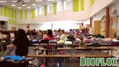 Camp Greentree offers Montgomery Co. students mental health support alongside summer fun