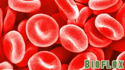 Diabetes rates are lower in high-altitude environments ‪‪—‬ and scientists may have discovered why