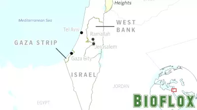 Escalating Violence: Israeli Airstrikes Claim Lives in Gaza