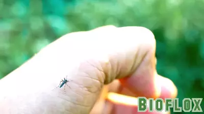 Health Officials Urge Caution Amid Rising West Nile Virus Cases in Wyoming