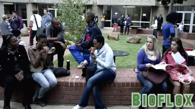 Innovative Strategies by South African Youth Workers to Promote Health on Social Media