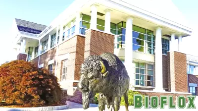 Nichols College Launches Flexible Master's Program in Mental Health Counseling
