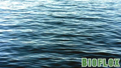 Ohio Town Receives Funding to Tackle Salt Pollution in Waterways