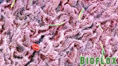 Poop Transplant Reverses Brain Aging in Mice, Restoring Youthful Function