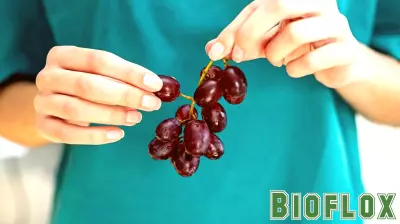 Popular fruit may help protect your skin from the sun, new study suggests