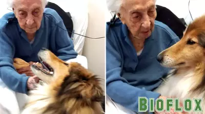 Secrets to Healthy Ageing Revealed by the World’s Oldest Person