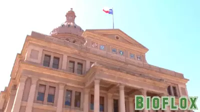 Senate Bill 1164 Aims to Address Mental Health Crisis Response Gaps