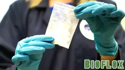 Study Reveals Gender Differences in Substance Use Among Fentanyl and Meth Users