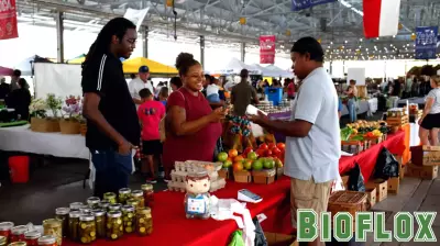 Texas: The MAHA Capital and Its Health Care Challenges