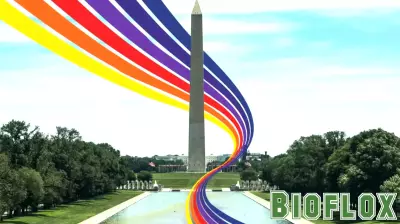 The Future of Public Health in the United States