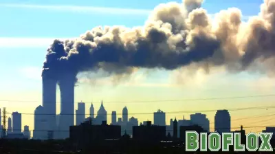 The Lingering Health Crisis From 9/11's Toxic Dust
