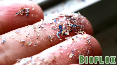 The Watch: Microplastics Linked To Fatty Liver Disease