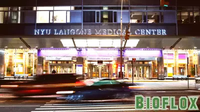 Their Transgender Child’s Health Care Had Ended. What Now?