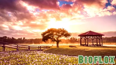 Transforming Rural Healthcare: The Impact of Telehealth