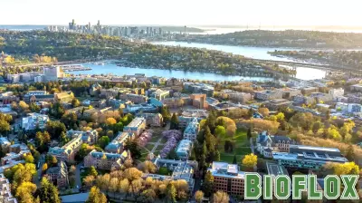 Tree Canopy Goals Could Prevent Thousands of Premature Deaths Across US Cities