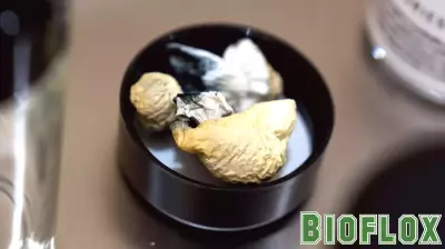 Trump Expected to Loosen Restrictions on Psychedelic Drugs