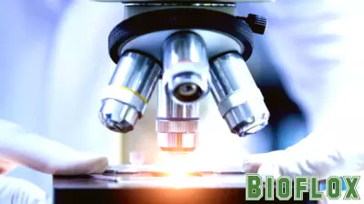 UT Health San Antonio identifies the first potential probiotic treatment for lupus
