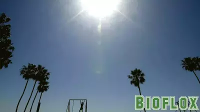 Why an electric fan can make you hotter in extreme heat — and what to do instead