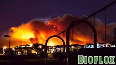 Wildfire Smoke Poses Higher Health Risks Than Other Air Pollution