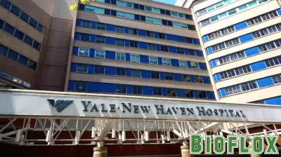 Yale New Haven Health to Discontinue Youth Gender-Affirming Care Services